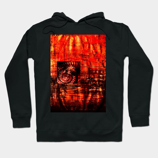 Evolution - Ammonite in Red Hoodie by Heatherian